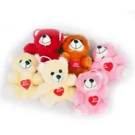Pack Of 6 Mixed Color Cute Teddy Bears with love wish in hands view 5
