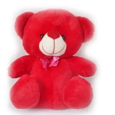 Teddy Beer Soft Toy view 2