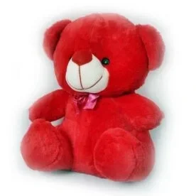 Teddy Beer Soft Toy view 5